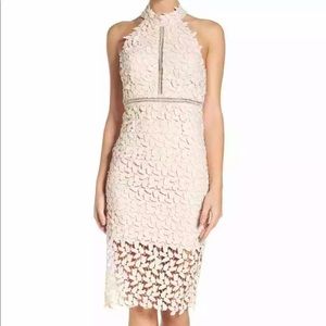 Bardot Gemma Halter Lace Sheath Dress lilac NWOT